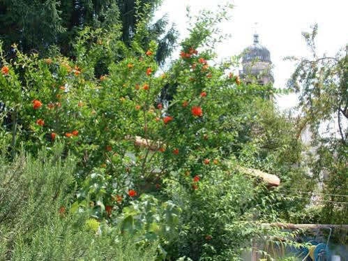 Casa Vacanze Alleantichemura Conegliano Exterior foto